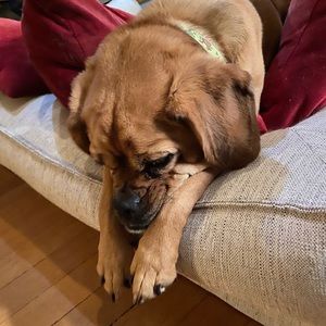 Meet your Posher, Martha